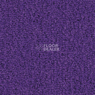 Ковролин Balsan Les Best S 886 фото 1 | FLOORDEALER