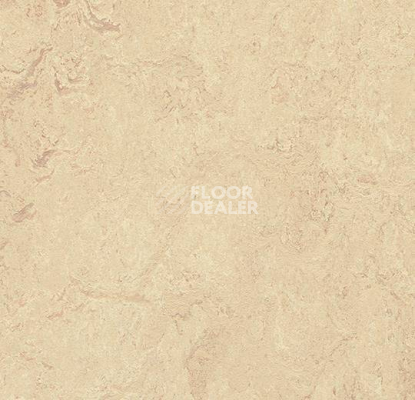 Кварцвиниловые полы Forbo Marmoleum Modular t2713 Calico фото 1 | FLOORDEALER