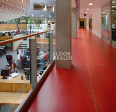 Forbo Marmoleum Modular t3131 scarlet фото 3 | FLOORDEALER