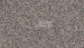 Линолеум Polyflor Polysafe Apex 4205 фото 1 | FLOORDEALER