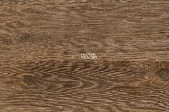 Пробковое покрытие Wood OAK BRUSHED фото 1 | FLOORDEALER