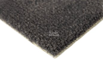 Balsan Les Best S 992 фото 4 | FLOORDEALER