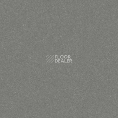 Линолеум Grabo Silver Knight Diamond Tech 857 фото 1 | FLOORDEALER