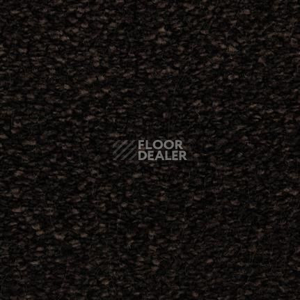 Ковролин Edel Bellezza 193 фото 1 | FLOORDEALER