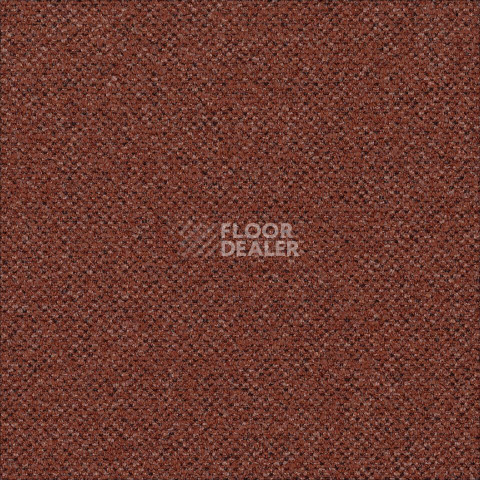 Ковровая плитка Desso Solid ac 73 5031 фото 1 | FLOORDEALER