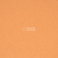 Линолеум Gerflor Mipolam BioControl Performance 6025 Tangelo фото 1 | FLOORDEALER