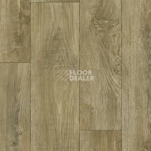 Линолеум Tarkett Gladiator DIAKIRI 2 фото 1 | FLOORDEALER
