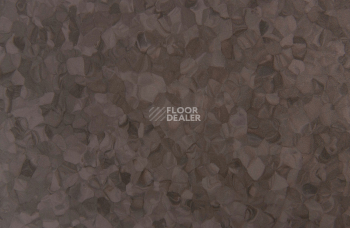 Tarkett iq Melodia 2617 фото 3 | FLOORDEALER