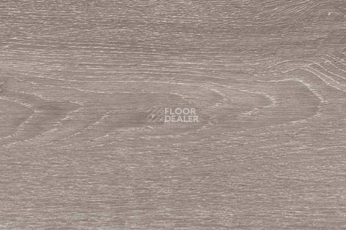 Пробковое покрытие Wood Xl Oak  Steel фото 1 | FLOORDEALER