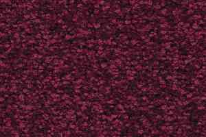 Ковролин Balsan First Class 580 фото  | FLOORDEALER