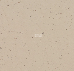 Forbo Marmoleum Solid Cocoa 3590 meringue фото 1 | FLOORDEALER
