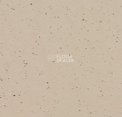 Линолеум Forbo Marmoleum Solid Cocoa 3590 meringue фото 1 | FLOORDEALER