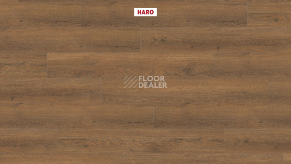 Ламинат Haro Tritty 100 4V Дуб Флавия Дымчатый 544705 фото 2 | FLOORDEALER