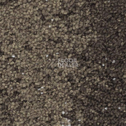 Ковровая плитка Balsan Nexus Link 775 фото 1 | FLOORDEALER