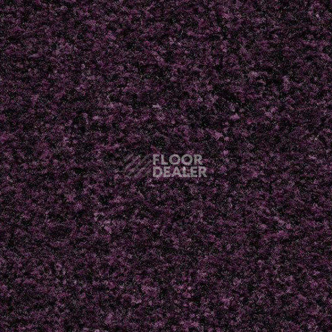 Грязезащитные покрытия Forbo Coral Brush 5739 Byzantine Purple фото 1 | FLOORDEALER