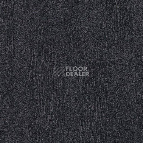 Ковровая плитка Forbo Flotex Colour Penang 50*50 t 382001 Penang Anthracite фото 1 | FLOORDEALER
