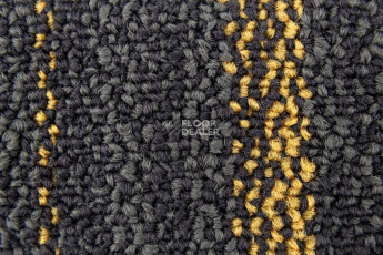 Neuflor Beach 2011-13 + Gold фото 2 | FLOORDEALER