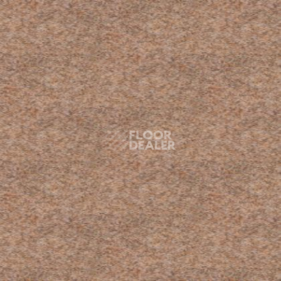 Ковролин Tapibel Spirit 8896 фото 1 | FLOORDEALER