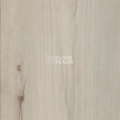 Кварцвиниловые полы AW Invictus Maximus Plank 2.5 мм Norwegian Wood Arcti фото 1 | FLOORDEALER