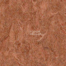 Линолеум Grabo Diamond Standart Forte 4213-455 фото 1 | FLOORDEALER