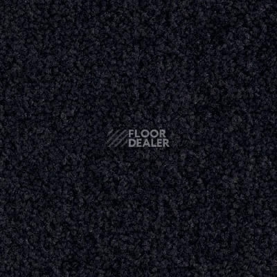 Ковролин Balsan Bolero 999 фото 1 | FLOORDEALER