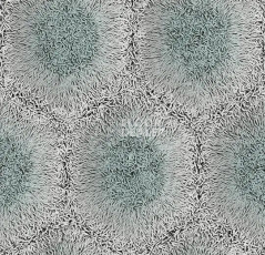 Ковролин Forbo Flotex by Mac Stopa 360003 f Fur Cool фото 1 | FLOORDEALER