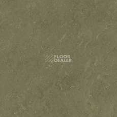 Линолеум Gerflor Marmorette DLW  2mm 0138 Khaki фото 1 | FLOORDEALER