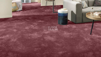 Vorwerk Superior 1064/Lyrica Vorwerk 1n41 фото 2 | FLOORDEALER