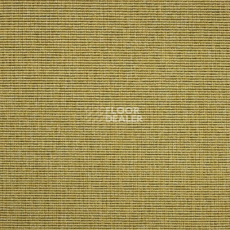 Ковролин Carpet Concept Eco 1 6621 фото 1 | FLOORDEALER
