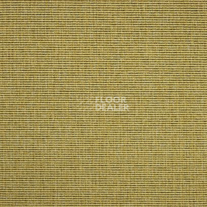 Ковролин Carpet Concept Eco 1 6621 фото 1 | FLOORDEALER