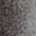 Ковролин Forbo Flotex by Starck Artist 324008 Artist Anthracite / Silver b4  | FLOORDEALER