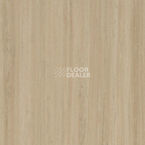 Линолеум Forbo Marmoleum Striato 5256 silt stone фото 1 | FLOORDEALER