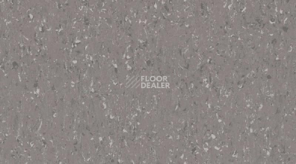 Кварцвиниловые полы Gerflor Mipolam Cosmo 2638_Pure_Grey фото 1 | FLOORDEALER
