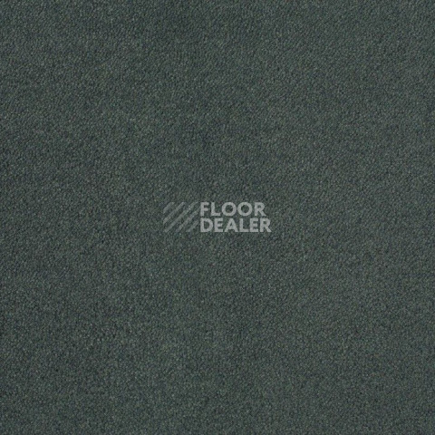 Ковролин Lano Zen 830 фото 1 | FLOORDEALER