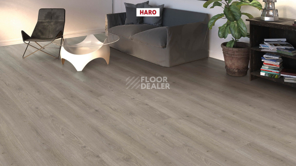 Ламинат Haro Tritty 100 4V Дуб Флавия Серый 544702 фото 3 | FLOORDEALER