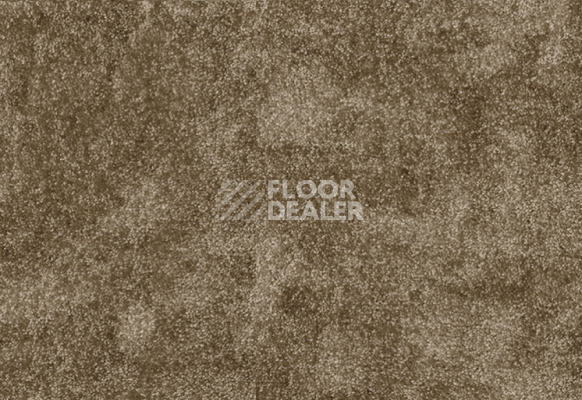 Ковролин AW Masquerade Vittorio 42 фото 1 | FLOORDEALER