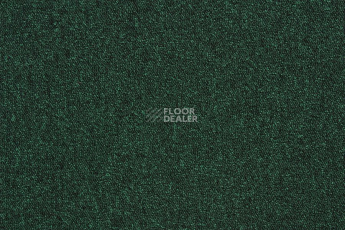 Betap Baltic 43 фото 1 | FLOORDEALER