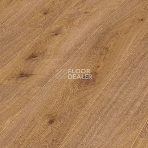 Ламинат Kronotex Exquisit 8мм d4169 Дуб Престиж Светлый фото 1 | FLOORDEALER