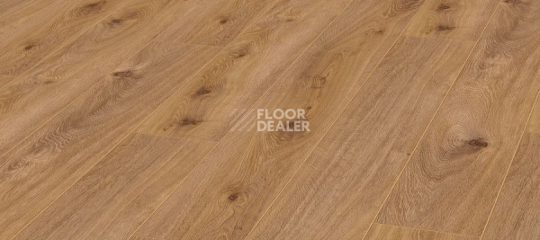 Ламинат Kronotex Exquisit 8мм d4169 Дуб Престиж Светлый фото 1 | FLOORDEALER