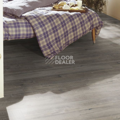 Kronotex Exquisit 8мм d4786 Дуб Гала Серый фото 3 | FLOORDEALER
