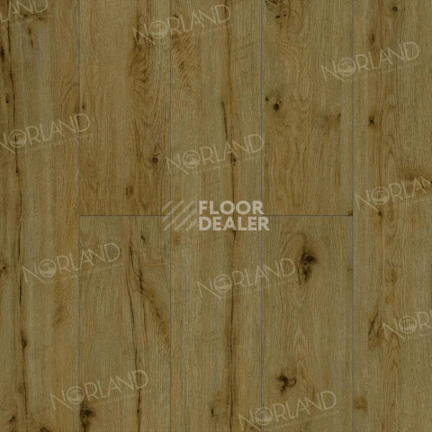 Ламинат Norland Elegant Strong 12мм Дуб Скай LF302-14 фото 1 | FLOORDEALER