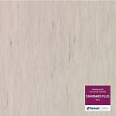 Линолеум Tarkett Standart Plus 910  | FLOORDEALER