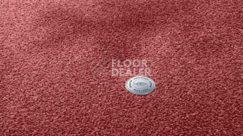 Ковролин Vorwerk Superior 1064/Lyrica Vorwerk 1n38 фото 1 | FLOORDEALER