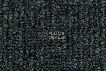IVC Animate 699 фото 4 | FLOORDEALER