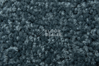 Balsan Serenite 955 фото 2 | FLOORDEALER