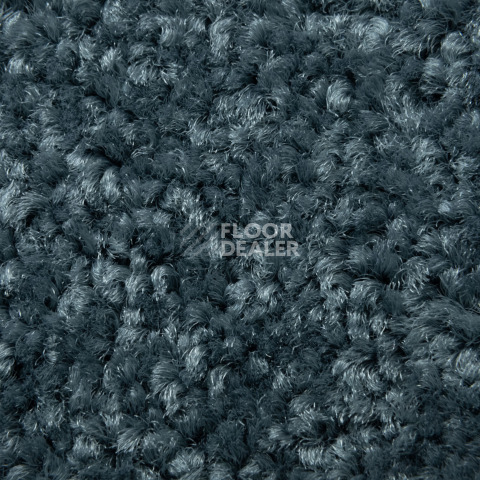 Balsan Serenite 955 фото 2 | FLOORDEALER