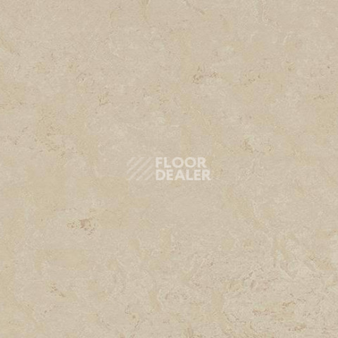 Кварцвиниловые полы Forbo Marmoleum Modular Shade 3711 фото 1 | FLOORDEALER