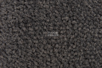 Balsan Les Best 992 фото 2 | FLOORDEALER