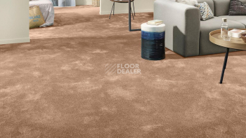 Vorwerk Superior 1064/Lyrica Vorwerk 2f38 фото 2 | FLOORDEALER