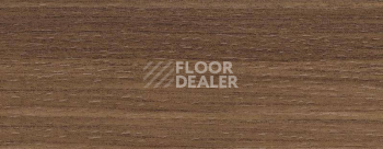 Плинтус Dollken EP 60/13 2595 фото 2 | FLOORDEALER